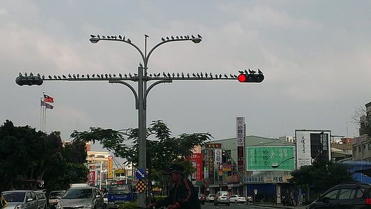 Taivanas, Kaohsiung, Miestas, gatvė
