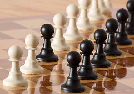 penhores, peças de xadrez, estratégia, Xadrez, placa, jogo, Branco