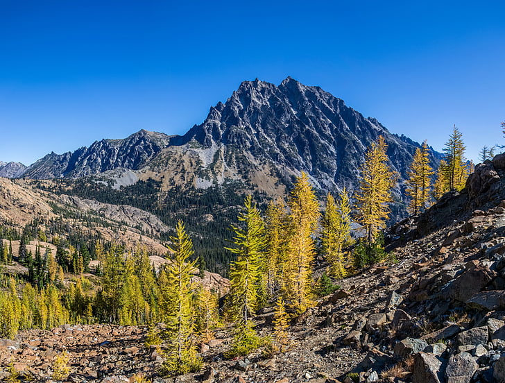 muntanya, bosc Nacional, desert, Puig de stuart, Washington, vista panoràmica, pic