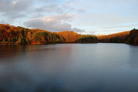 rudenį, ežeras, Rodyti, Gamta, rudenį, miško, medis