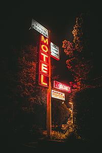 arbres, Publier, Motel, panneaux de signalisation, lumières, sombre, nuit