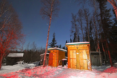 à noite, banheiro externo, neve, Alasca, floresta, natureza, privado