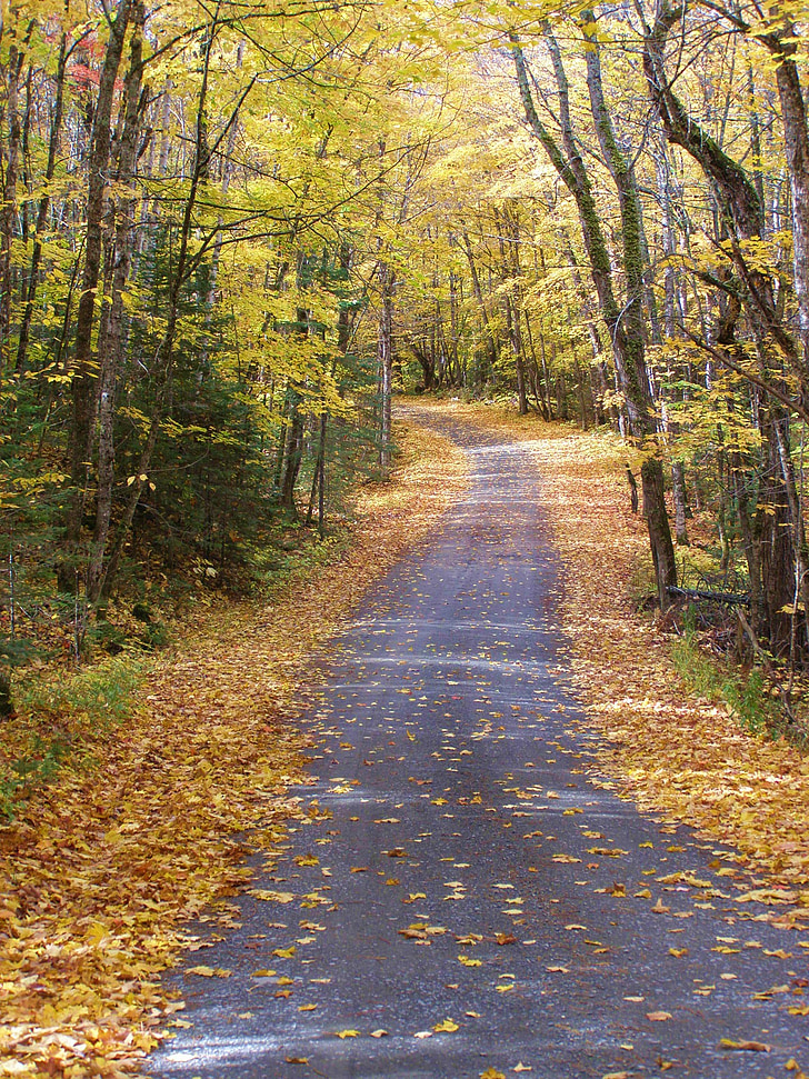 zemlja, ceste, jesen, krajolik, Divljina, krajolik, prirodni