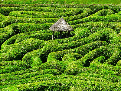 labirinto, labirinto, Glendurgan, giardino, Cornwall, Sud della ghiandola, Regno Unito