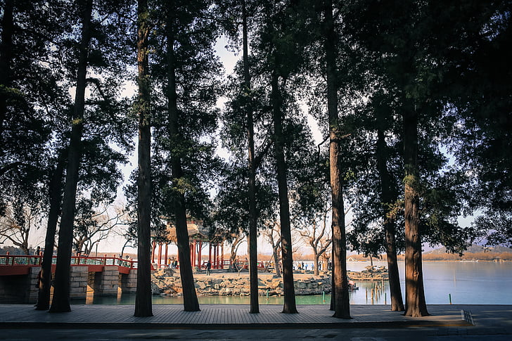 Pavilion, historia, Pekin, sommar, Sommarpalatset, träd, sjön