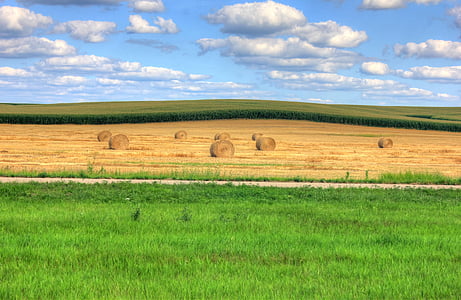 hay bales, hay, field, landscape, scenic, farm, outdoors