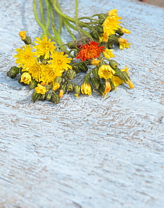 flores del campo, ramo de la, amarillo, flores de verano, una flor amarilla, diente de León, escritorio de madera