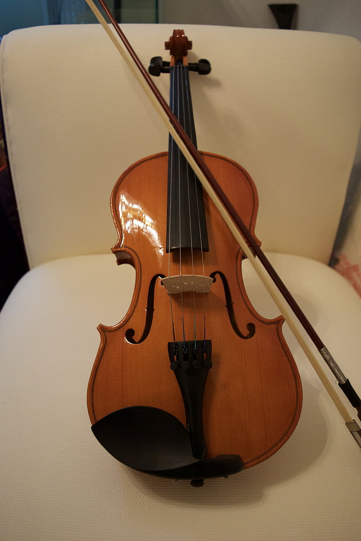 цигулка, лък, низ, музика, инструмент, струнни, музикант
