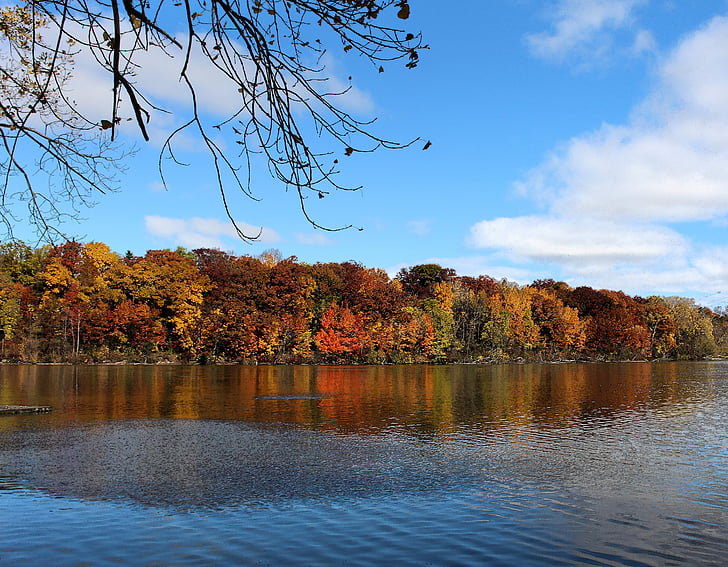 Fox river, Rijeka, Appleton, Wisconsin, jesen, jesen, stabla