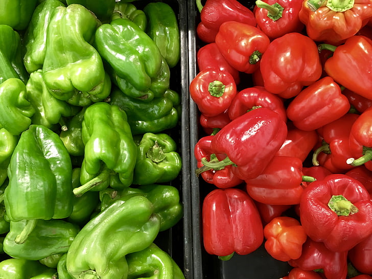 Agriculture, Bell pepper, Capsicum, cuisine, alimentaire, vert, se développer