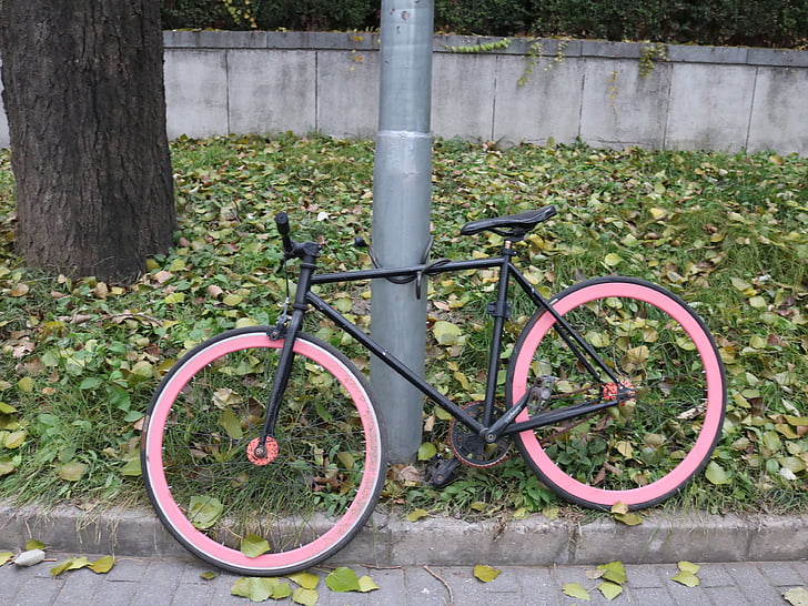 자전거, 가로등, 거리 사진