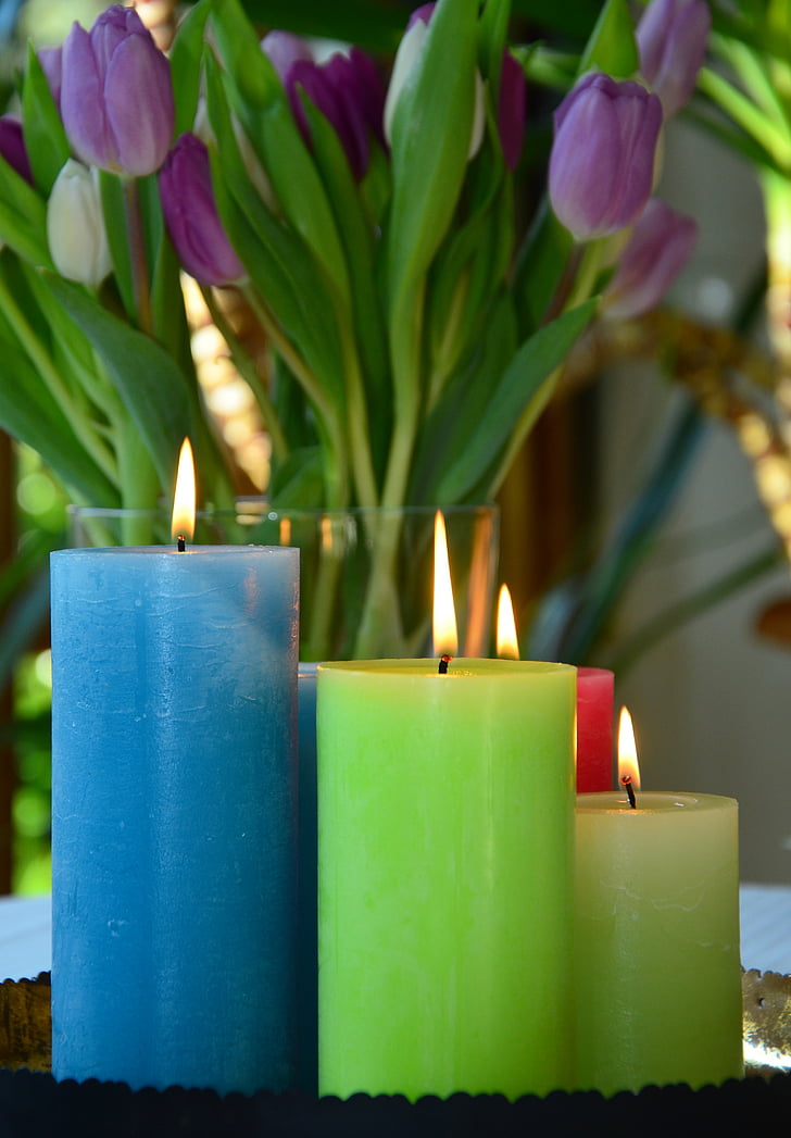 žvakės, festivalis, pavasarį, tulpės, gimtadienis, šviesos, šventė