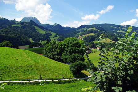 Swiss, Szwajcaria, góry, dekoracje, Europejski, Alpy, krajobraz
