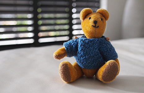 blue, knitted, shirt, brown, bear, plush, toy