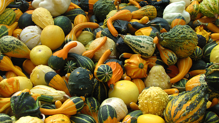 Herbst, fallen, bunte, Oktober, Dekoration, Kürbis, Gemüse