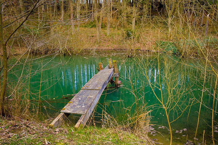 Web, jezero, rybník, vody, odpočinek, osamělý, Les