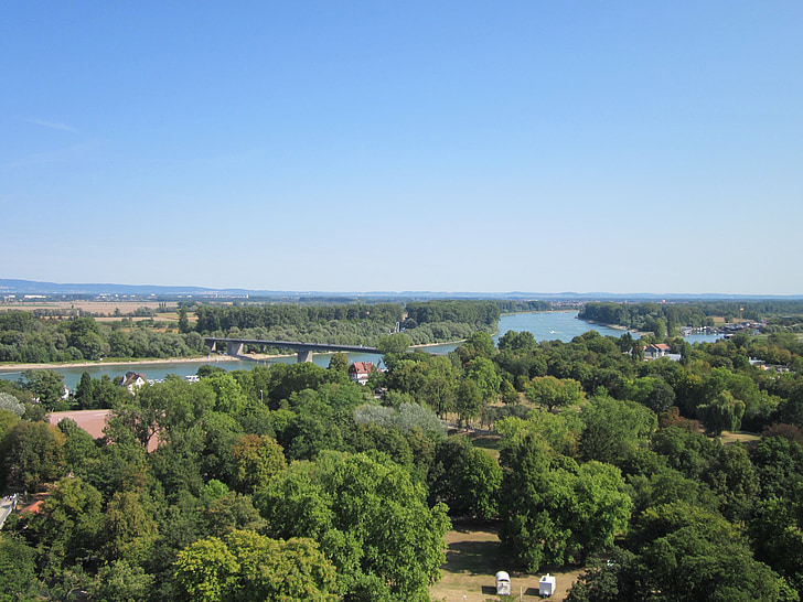 Speyer, Katedrala, salierbrücke, Prikaz, Panorama, Rajna, stabla