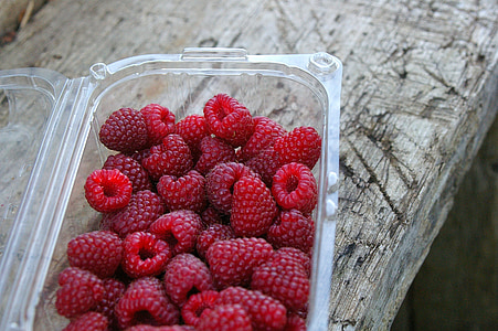 raspberries, harvest, nature, red, ripe, sweet, box