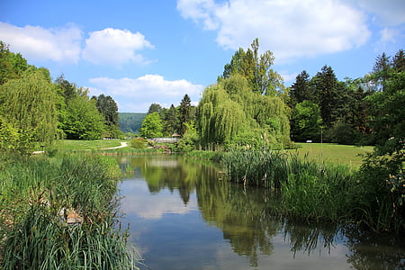 Parc, Lac, étang, eau, Malerwinkel, vues de peintre, printemps