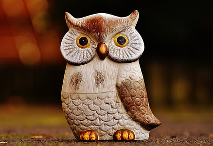 owl, bird, funny, ceramic, animal, cute, deco
