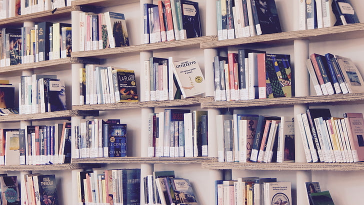 books, library, read, shelves, silence, shelf, reading