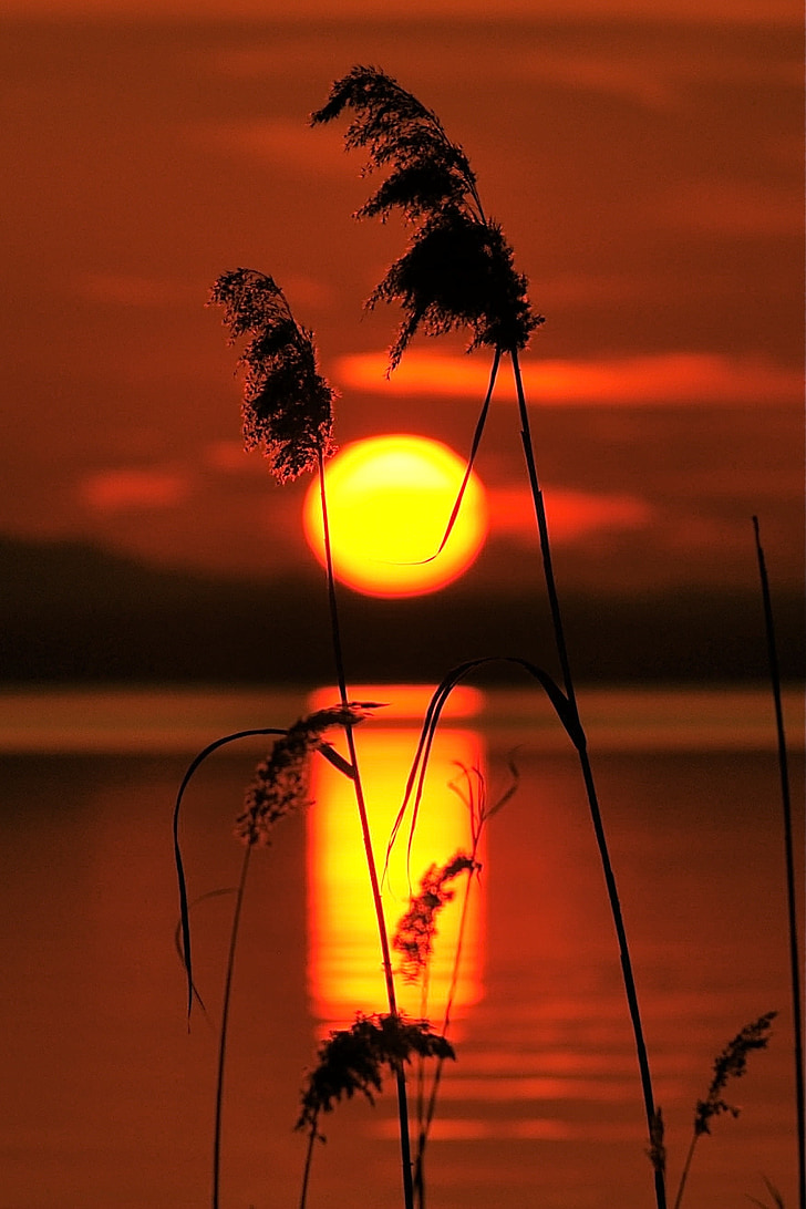 sunset, lake, lake garda, landscape, sunset sun, evening, lakes
