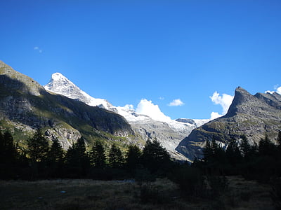 valge hamba, mägi, Valais, Šveits, loodus, Alpid, maastik