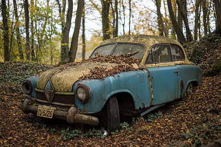 经典的汽车, 汽车, 年份, 垃圾堆场, 废品, borgward, 20 世纪 50 年代