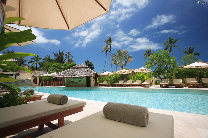 beach chairs, clouds, hotel, idyllic, leisure, luxury, palm