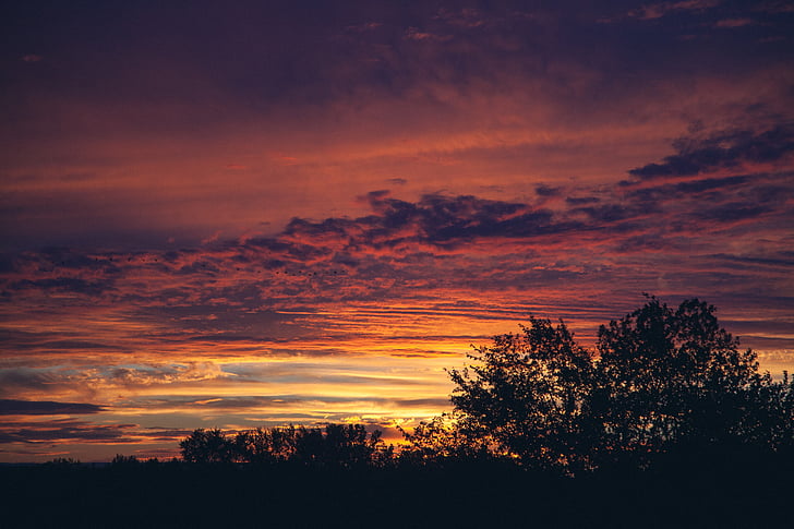 silhouette, trees, sunset, cloud, clouds, sky, sunrise