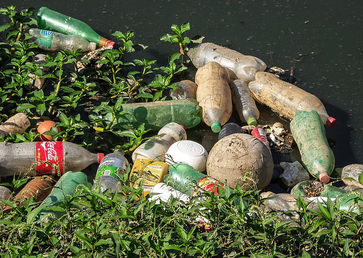 сміття, Річка сосни, щебінь, забруднення, ПЕТ пляшка, Каналізаційні