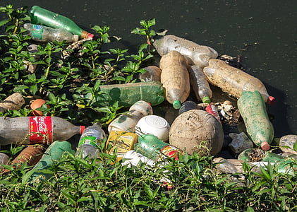 poubelle, pins de rivière, décombres, pollution, bouteille d’animal familier, réseau d’égouts