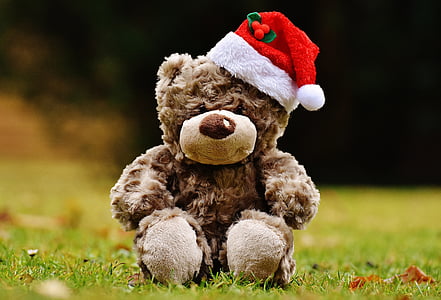 christmas, teddy, soft toy, santa hat, funny, grass, toy
