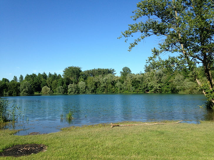 lake, france, trip, nature, tree, summer, blue