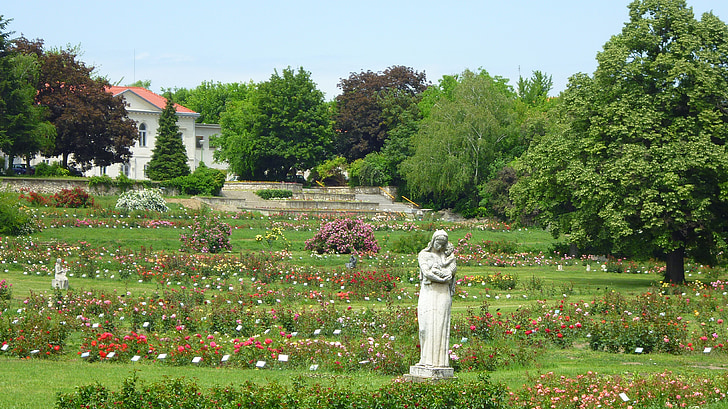 růžová zahrada, růžové keře, barevné růže, Avenue, socha, Příroda, letní květiny