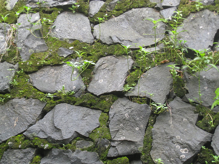 pedres, paret, molsa, textura, natural, superfície, patró