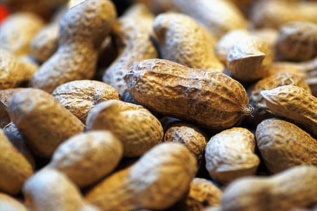 peanuts, groundnuts, nut, paper, peel, detail, allergies