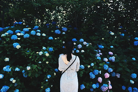 kvinne, stående, overfor, hage, blå, petal, blomster