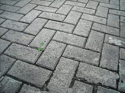blocco di pavimentazione, cemento, casella, Piazza, strada