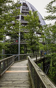 Treetop sökväg, bayerska skogen, skogen, träd, landskap, Viewpoint, turism