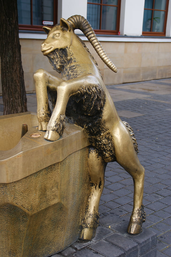 buck, the statue of, lublin, gold, fountain