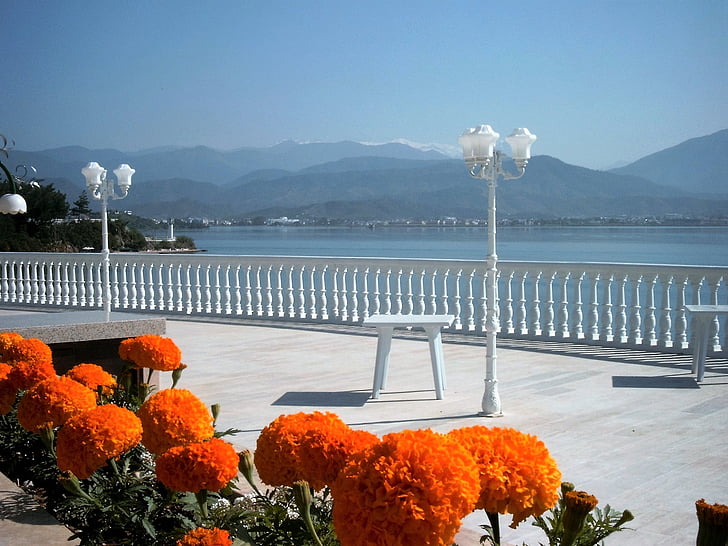 virágok, Boulevard, kilátással a tengerre, Törökország