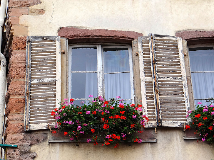 vinduet, skodder, blomster, steiner, pittoreske, brunmelert, gamlebyen