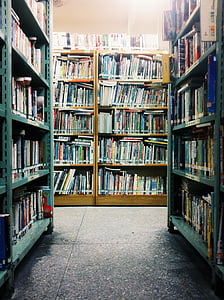 book stack, bookcase, books, bookshelves, bookstore, education, knowledge