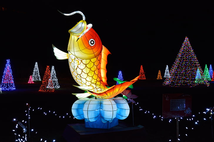 ikan, Festival lampu, Air Terjun Niagara, Cina, meriah, Perayaan, cahaya