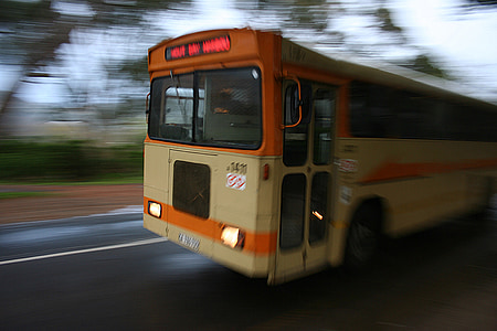 bus, travel, speed, motion, transportation, transport, road