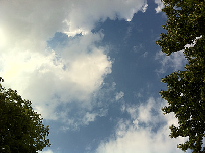 debesys, dangus, mėlyna, debesų forma, balta, Cumulus debesys, Gamta