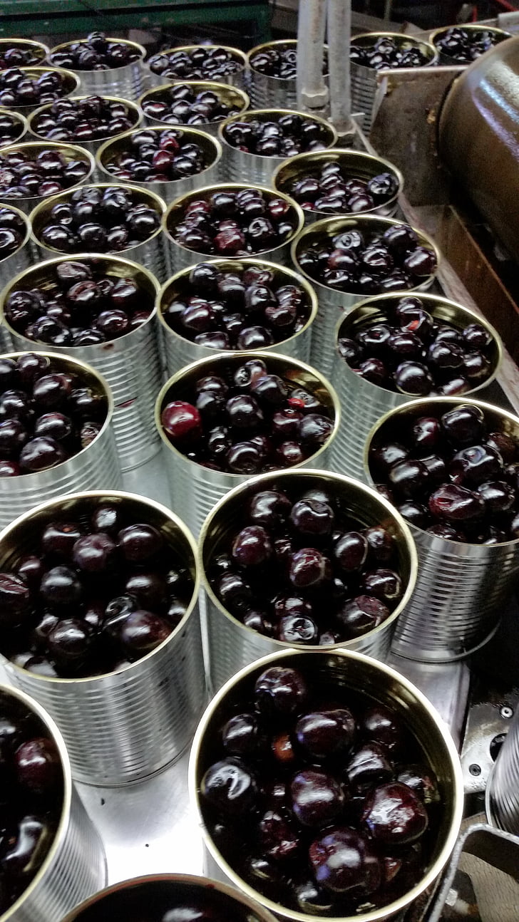 cherry, produce, food, canning, processing, process, canned fruit