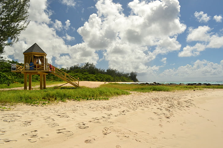 Barbados, stranden, Strandstuga, resor, havet, kusten, Tropical