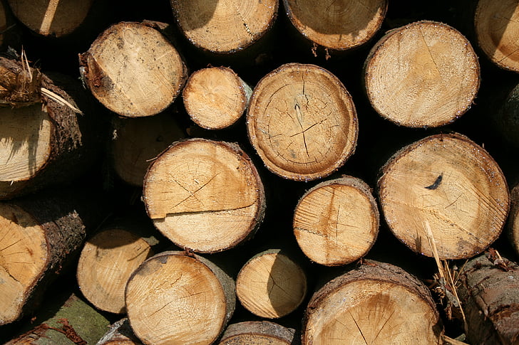 hout, stammen, logboek, zoals, holzstapel, sluiten, bos